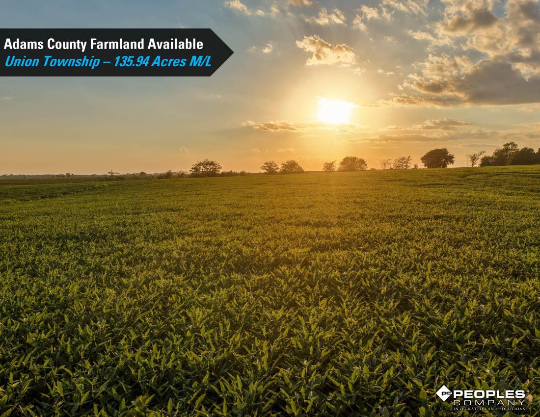 Listing Photo: Adams-County-Iowa-Farmland-Available-136-Acres-Blazek-Estate-19707 (21)